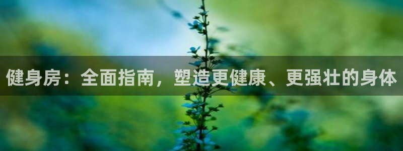 意昂2官方平台