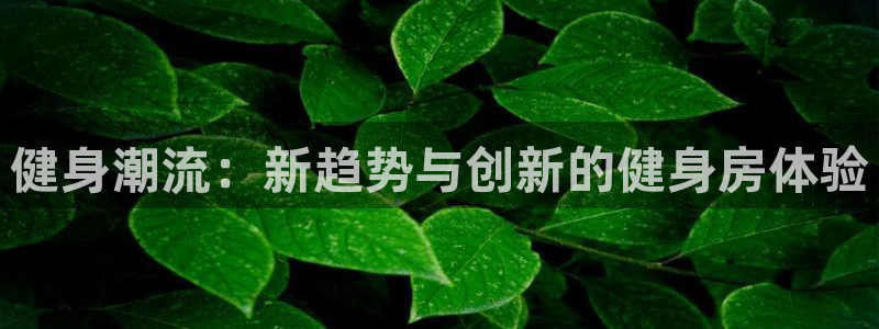 意昂2平台