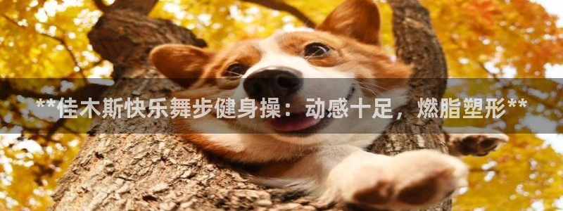 意昂2登录